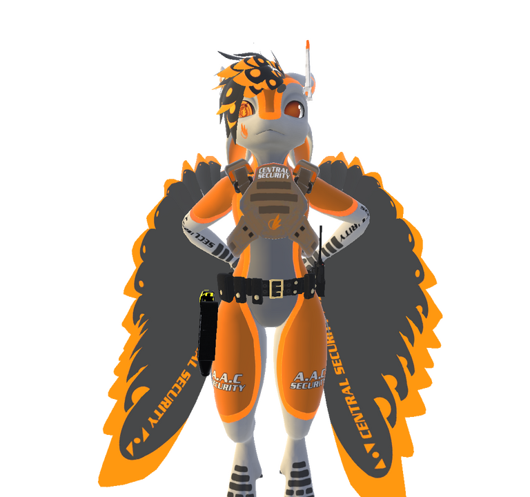 Central Security Droid