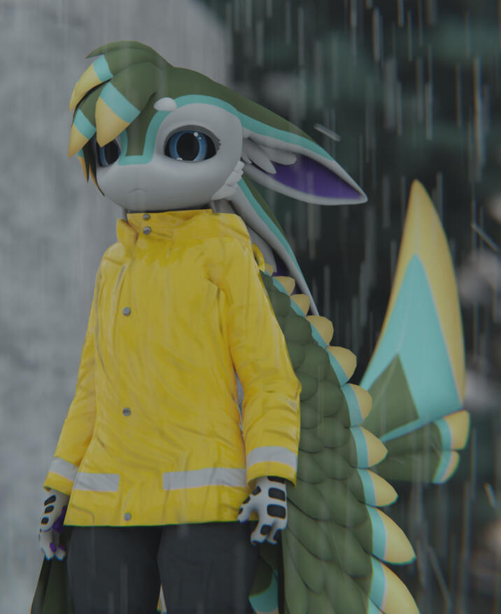 Raincoat